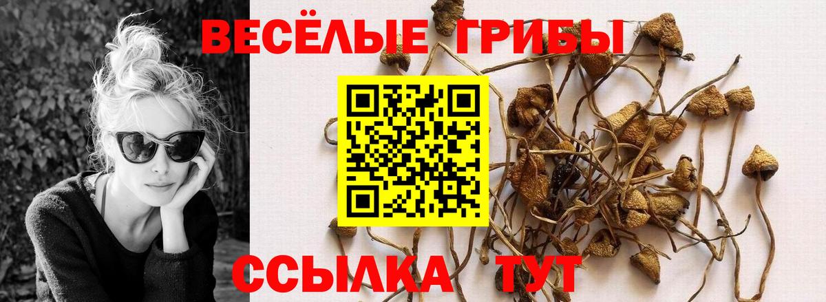 Галлюциногенные грибы Magic Shrooms Фурманов